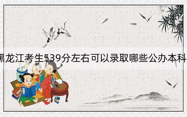 黑龍江考生539分左右可以錄取哪些公辦本科大學(xué)？（附帶近三年高考大學(xué)錄取名單）