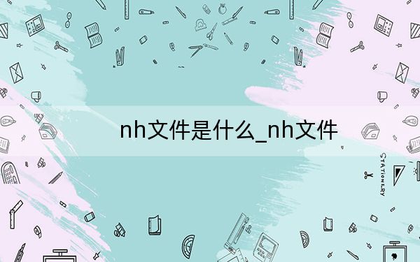 nh文件是什么_nh文件
