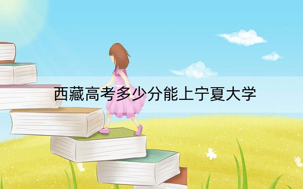 西藏高考多少分能上寧夏大學(xué)?2024年投檔線分