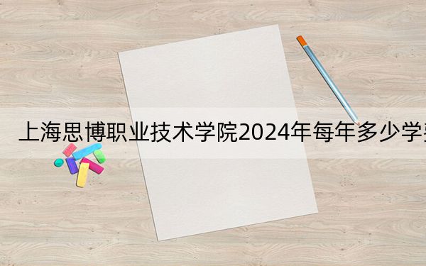 上海思博職業(yè)技術(shù)學院2024年每年多少學費?每年最低24000元最高26800元(供河北考生參考)