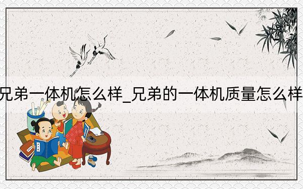 兄弟一體機(jī)怎么樣_兄弟的一體機(jī)質(zhì)量怎么樣啊