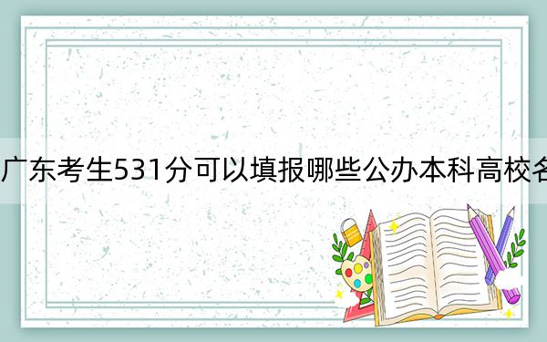 廣東考生531分可以填報哪些公辦本科高校名單? 2024年高考有70所最低分在531左右的大學(xué)