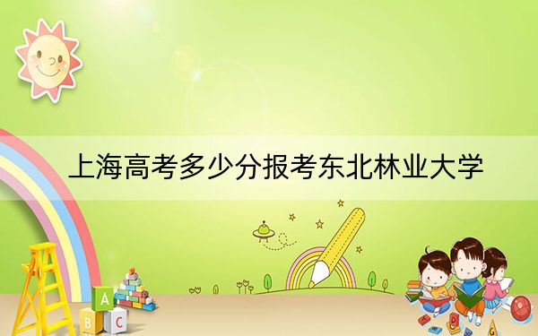 上海高考多少分報考東北林業(yè)大學(xué)？2024年綜合錄取分514分