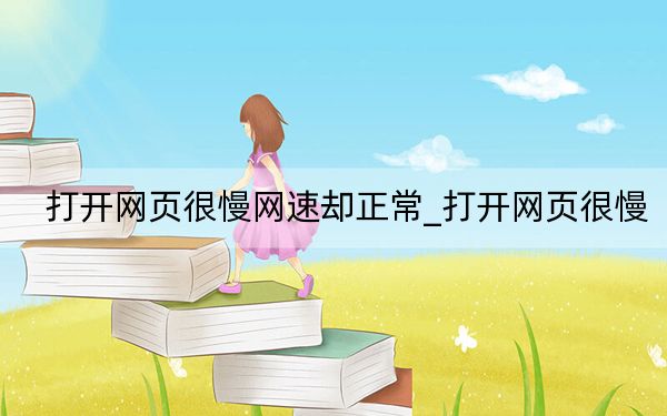 打開網(wǎng)頁很慢網(wǎng)速卻正常_打開網(wǎng)頁很慢