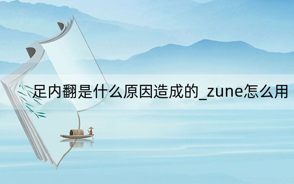 足內(nèi)翻是什么原因造成的_zune怎么用