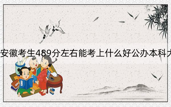 安徽考生489分左右能考上什么好公辦本科大學(xué)?