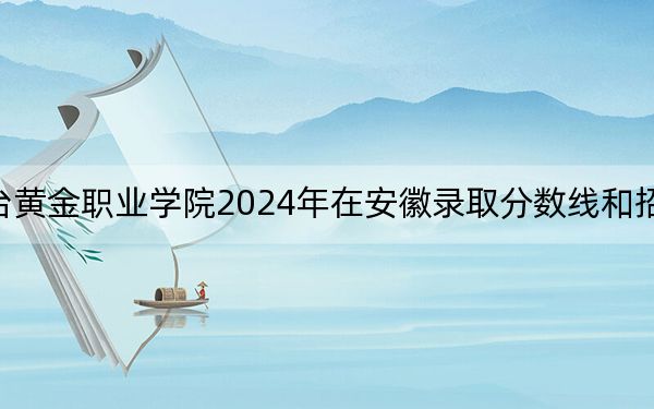 煙臺黃金職業(yè)學(xué)院2024年在安徽錄取分?jǐn)?shù)線和招生計(jì)劃