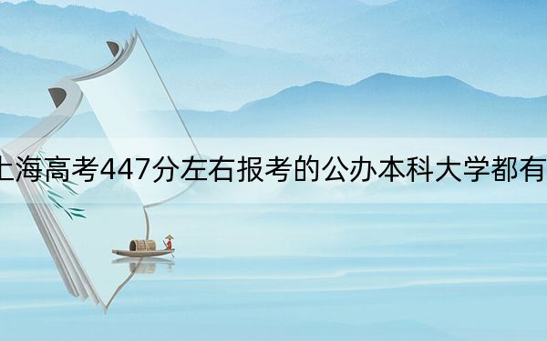 上海高考447分左右報考的公辦本科大學(xué)都有哪些?